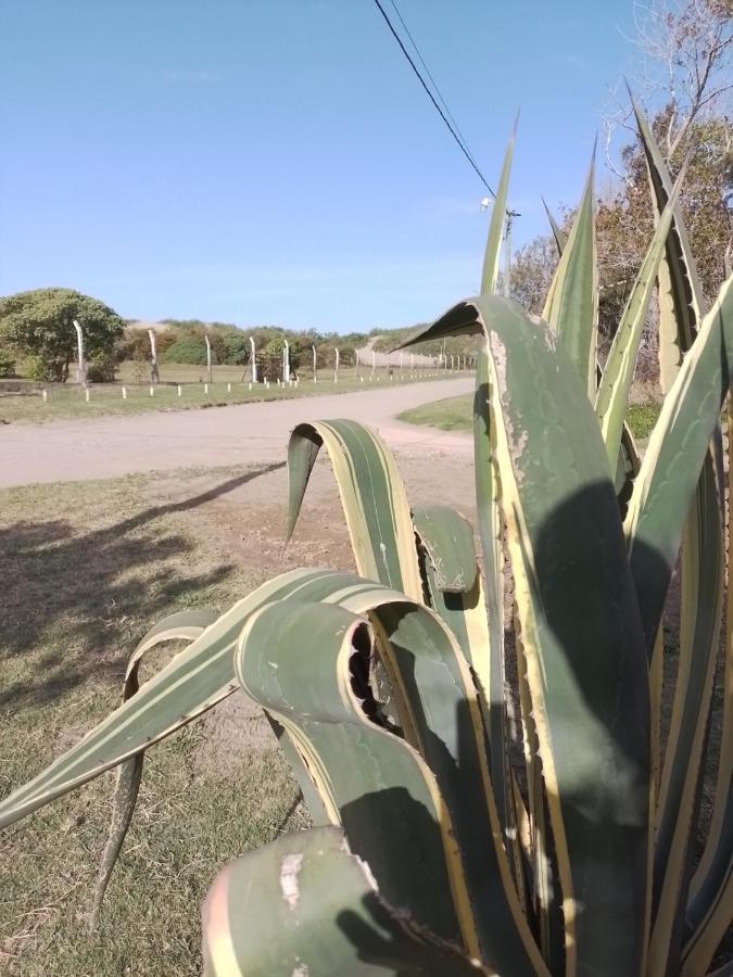 Alojamientos Frente Al Mar Complejo "El Estar De La Costa" San Clemente del Tuyú Εξωτερικό φωτογραφία